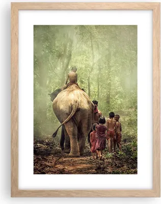 Produktbild von Gerahmtes Poster - Rahmen in heller Eiche - Elefant Dschungel Nebel - 30x40 cm - Wand Bild - Wanddeko - Wandbilder - Wandposter - Bilderrahmen - Bilder - Kunstdruck - Wandbild - P2NPA30x40-3438