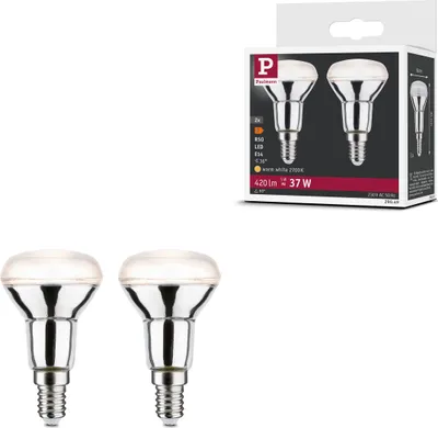 Image de Paulmann Standard 230V LED Reflector Set de 2 pièces