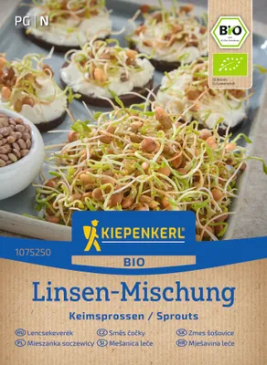 Produktbild von Kiepenkerl  Keimsprossen-Saat Linsensamen 40 g