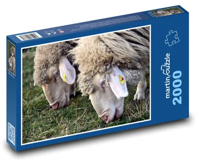 Obrázok produktu pre Puzzle 2000 Ovce pasúce sa na tráve - martinpuzzle