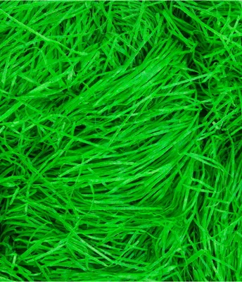 Produktbild von Ostergras 50 g