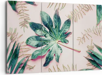Produktbild von Bild auf Leinwand - Leinwandbild - 3 Teile - Blatt Tropisch Palme - 165x110cm - Wand Bild - Wanddeko - Wandbilder - Leinwanddruck - Bilder - Wanddekoration - Leinwand bilder - CE165x110-4314