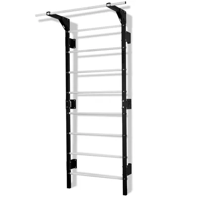 A wall-mounted pull-up bar and gymnastics ladder.