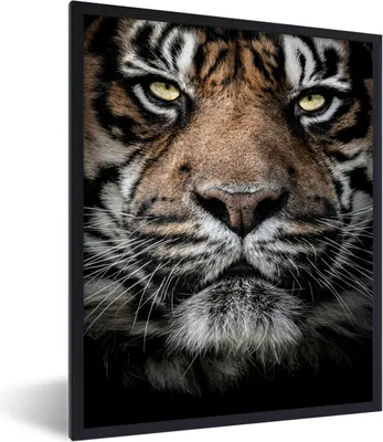Produktbild von MuchoWow® MuchoWow® Gerahmtes Poster Tiger - Nahaufnahme - Tier 60x80 cm - Poster mit zchwarzem Bilderrahmen - Premium - Wanddeko Wohnzimmer