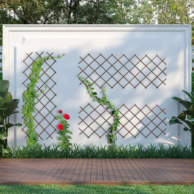 Image de Ensemble de treillis extensibles en bois pour plantes, 180 x 90 cm