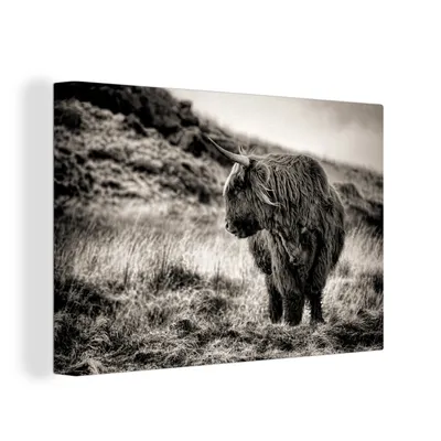 Produktbild von OneMillionCanvasses® - Leinwandbilder - 150x100 cm, Scottish Hochlandrind - Kühe - Schwarz - Weiß, Wandbilder Kunstdruck Wanddekoration