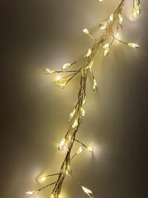 A string of fairy lights with small, teardrop-shaped LEDs.