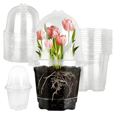 Produktbild von 10 Stück Pflanztöpfe mit Feuchtigkeitshaube – Transparente Kulturtöpfe aus Kunststoff, rund, mit Drainage, ideal für Sukkulenten, Orchideen, Ableger & Zimmerpflanzen