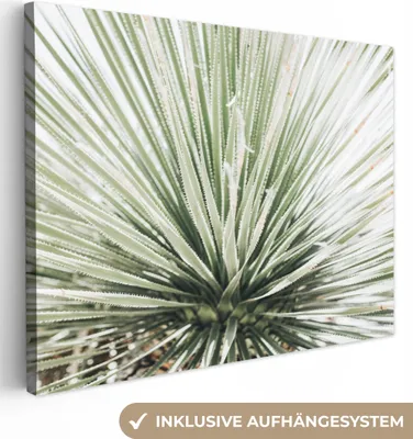 Produktbild von MuchoWow® - Leinwandbilder - Grün - Blätter - Natur, Wandbild, Wanddeko Bilder Wohnzimmer, 120x90 cm