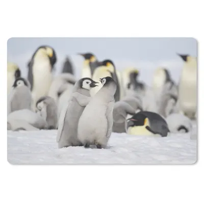 Produktbild von MuchoWow® Schreibtischunterlage Pinguine - Schnee - Tiere 60x40 cm - XXL Mauspad - Großes Mauspad