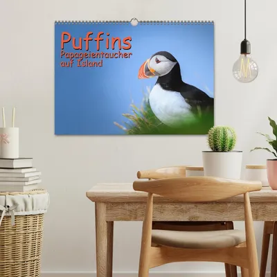 Produktbild von Puffins - Papageientaucher auf Island (Wandkalender 2026 DIN A3 quer), CALVENDO Monatskalender