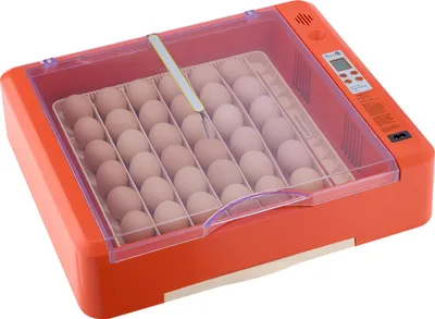 Obrázek produktu pro SucceBuy plně automatický inkubátor pro 36 vajec s obracečem vajec, regulací teploty a vlhkosti, ideální pro líhnutí kuřat, kachen, hus a křepelek