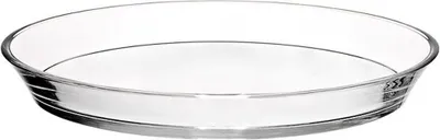 A clear, well-lit studio shot of a single glass plate with a silver rim.