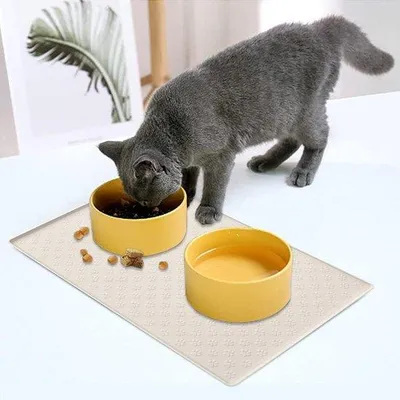 Produktbild von Famanu Futtermat für Hunde und Katzen - wasserfest, rutschfest, 60 x 40 cm, crème