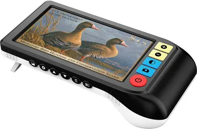 Image de Loupe numérique 2-32x Levenhuk DTX DX50