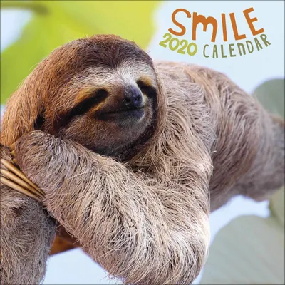 Produktbild von Smile Kalender 2020: Offizieller 12-Monatskalender englische