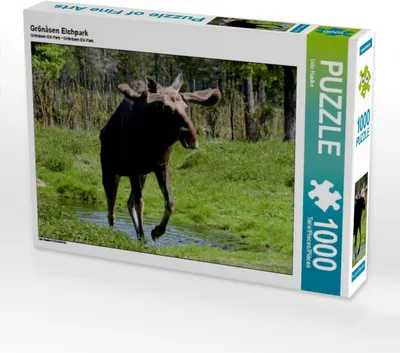 Produktbild von CALVENDO Puzzle Grönåsen Elchpark 1000 Teile Puzzle quer | 1000 Teile Lege-Größe 64x48cm Foto-Puzzle für glückliche Stunden