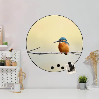 Produktbild von Design Stahlmagnettafel Schwarz Rund 47cm Pause