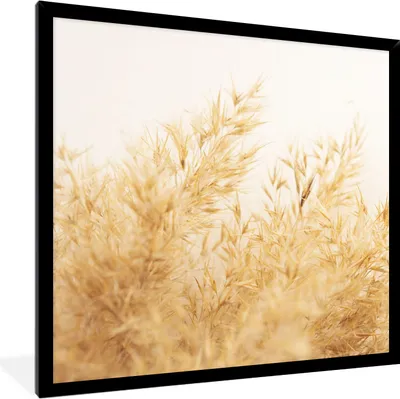 Produktbild von MuchoWow® Gerahmtes Poster Pampasgras - Sonne - Gras 40x40 cm - Poster mit Schwarzem Bilderrahmen Wandposter Rahmen Foto Bilder - Mit Rahmen - Wanddekoration Schlafzimmer