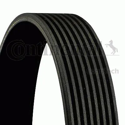 Produktbild von Continental ContiTech 8PK1220 Keilrippenriemen für VOLVO FH 12 1220mm