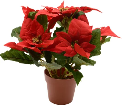 Image de Plante Artificielle Pâques Décoration Florale De Pâques Sans Entretien - Basics