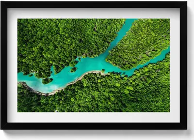 Produktbild von Vogelperspektive auf einen Fluss in tropischen Wäldern– Wandbild mit Rahmen – Gerahmtes Bild  – Wanddekoration – 60x40 cm –  Schwarz Rahmen