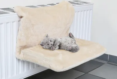 A kitten is lying on a beige pet bed attached to a radiator.