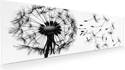 Produktbild von Glasbild 120x40cm in XXL für Wohnzimmer, Schlafzimmer Motiv Pusteblume