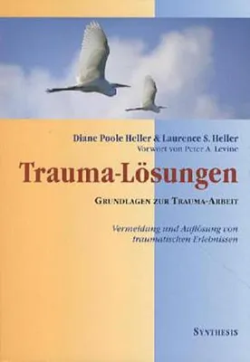 Image de Trauma- Lösungen
