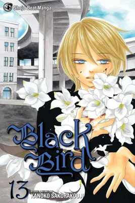 Produktbild von Black Bird, Vol. 13