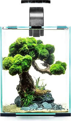 Produktbild von Aquael Shrimp Set Day&Night 30L Weiß - Aquarien-Set