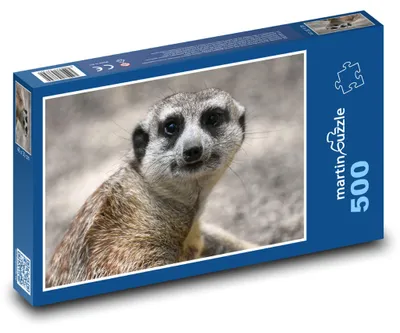 Obrázek produktu pro Puzzle 500 Surikata v zoo - martinpuzzle