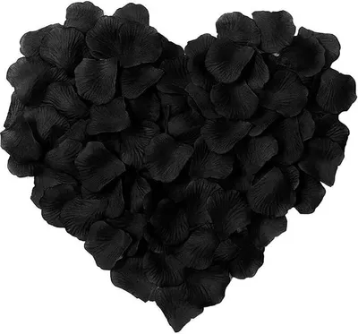 Produktbild von 3000pcs Romantische Rosenblätter Hochzeit Dekoration Romantische für Valentinstag Verlobung Geburtstag Jahrestag, Schwarz
