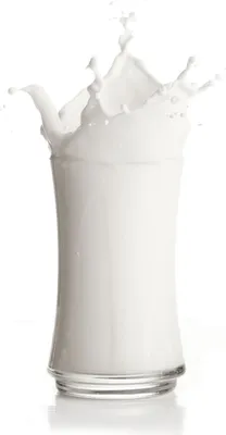 Produktbild von Neutrales Milchshake Pulver 10 kg