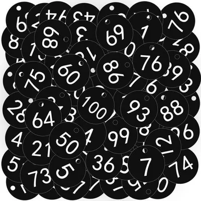 Image de Plaques d'immatriculation en plastique - Lot de 100