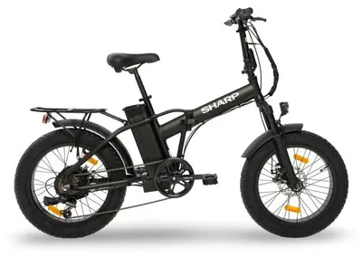 Immagine prodotto di Sharp BK-FM02-EB, 13 Ah, 60 km, 48 V, 5 ore, 624 Wh, 28 kg