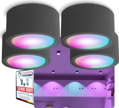 Produktbild von SSC-LUXon 4 Stück CELI-X Aufbauspot flach Anthrazit mit LED Leuchtmittel kompatibel mit Alexa, Siri & Google - Spot mit Smart LED RGB+W GX53