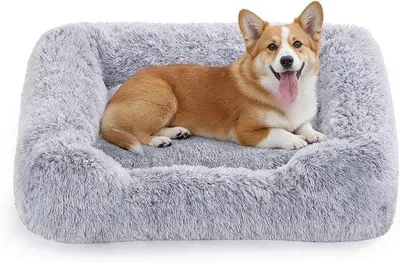 Produktbild von Famanu Hundebett 91 x 68 x 18 cm – Weiche Füllung mit Erhöhten Rändern – Abnehmbare Hülle und Antirutsch-Unterseite