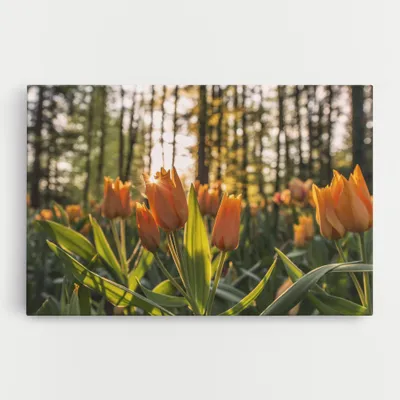 Produktbild von ARTHUB® Leinwandbild 50x70 cm, Forest Tulips | Wohnzimmerdekoration, Hängende Bilder, Wanddekoration, Heimdekoration, Blumen, Blumen in der Natur