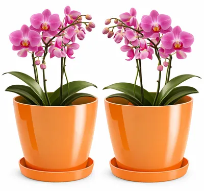 Productafbeelding van Set van 2 glanzende plantenpotten met onderzetter, diameter 20 cm