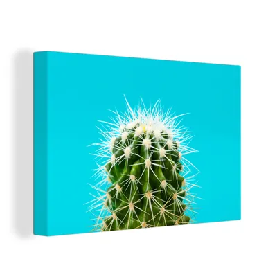 Obrázek produktu pro OneMillionCanvasses® Malba na plátně Nástěnná malba na plátně - Kaktus na modré - 150x100cm
