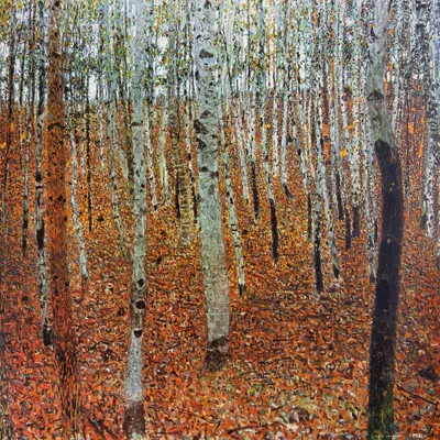 Produktbild von Gustav Klimt Kunstdruck Bild - Birkenwald, 1903 (40 x 40 cm)