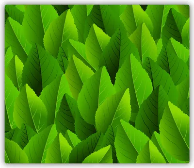 Produktbild von Tulup Glas Herdabdeckplatte Glaskeramikkochfeld-Abdeckung Spritzschutz Glasabdeckplatte Kochplattenabdeckung und Schneidebrett - Einteilig - 60x52 cm Grüne Blätter