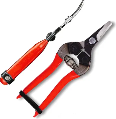 Produktbild von ARS 310 Obst-, Trauben-, Gemüseschere ergonomische Floristenschere Gärtnerschere