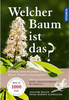 Produktbild von Welcher Baum ist das?