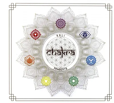 Productafbeelding van Kali X Pawbeats: Chakra