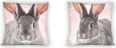 Produktbild von Kissen Kuschelkissen Dekokissen mit Hase Kaninchen 40 x 40 cm