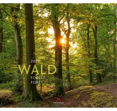 Produktbild von Ackermann Kunstverlag Wald Kalender 2027, 54x48 cm, Spiralbindung, dreisprachig