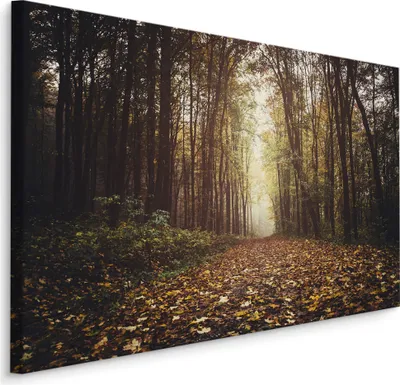 Produktbild von Fabelhafte Canvas LEINWAND BILDER 40x30 cm XXL Kunstdruck Wald Nebel Herbst Bäume