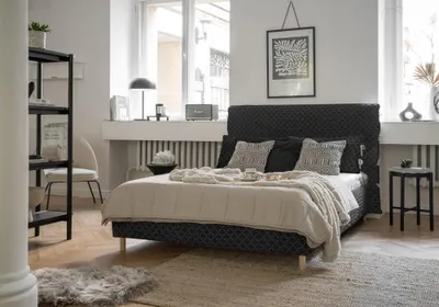 Produktbild von MIUFORM Sleepy Luna - Polsterbett - 140x200cm - Graphit - Bett Schlafbett